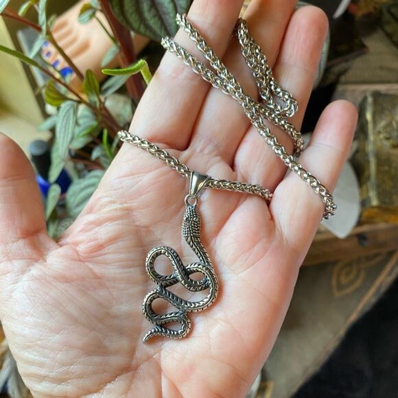 Snake Stainless Steel Wheat Chain Necklace, Unisex Snake Jewelry - Picture 4 of 4